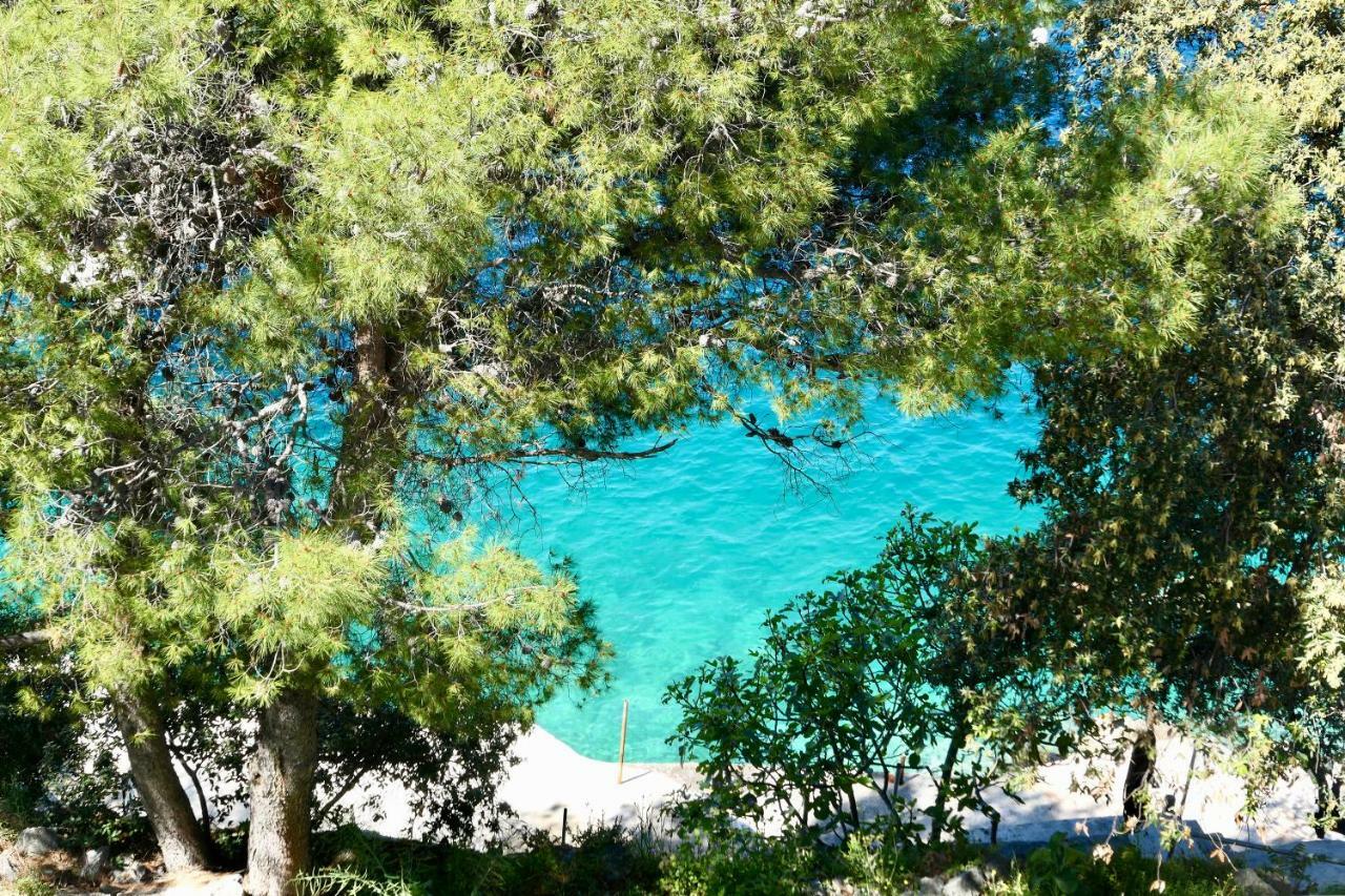 Antonia Apartments Zavalatica Εξωτερικό φωτογραφία